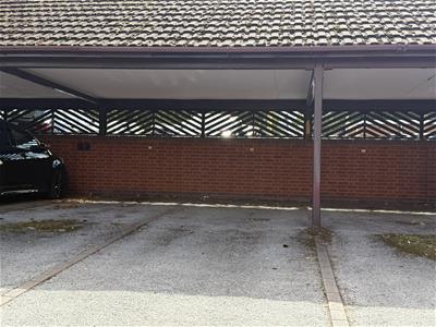 Picture 11
